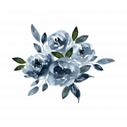 Blauwe bloemveer PNG -afbeeldingen
