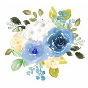 Blaue Blumenfeder PNG Fotos