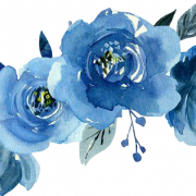 Blauwe bloemveer transparant
