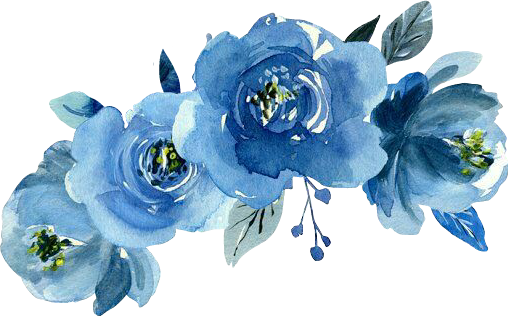 Blue Flower Spring Transparent