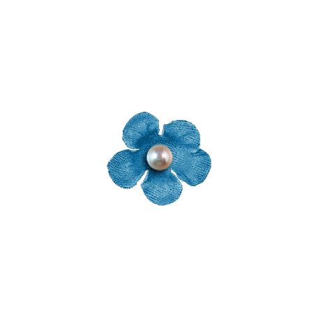 Blue Flower Transparent