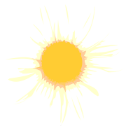 Camomile PNG -bestand