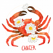 Cancer Astrology PNG Pic