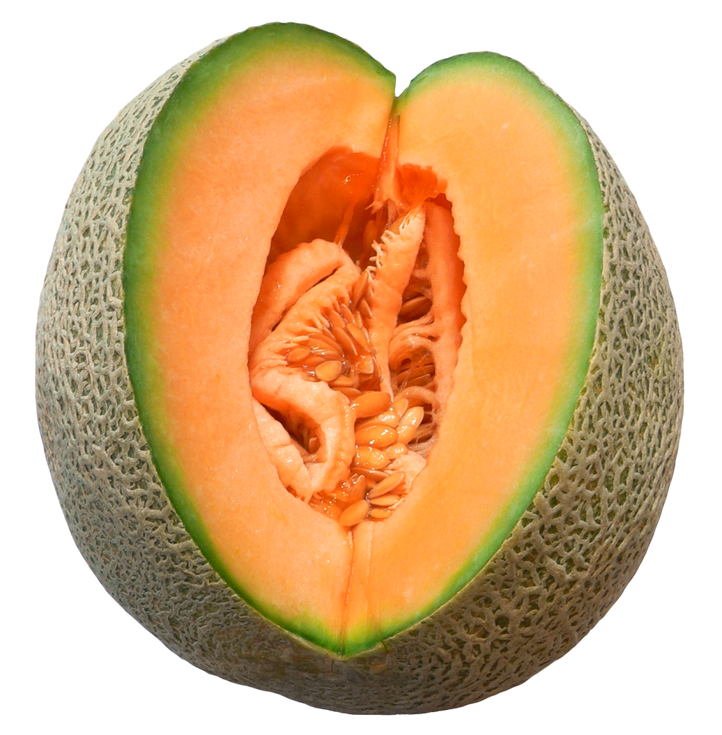 Cantaloupe Melon No Background