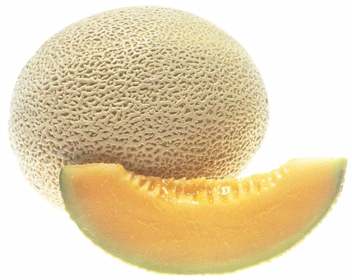 Cantaloupe Melon PNG Cutout