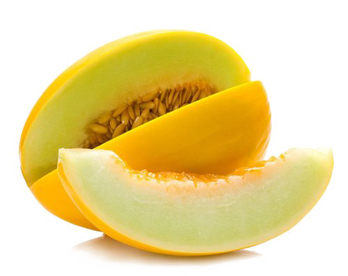 Cantaloupe Melon PNG File
