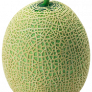 Cantaloupe Melon PNG -afbeelding HD