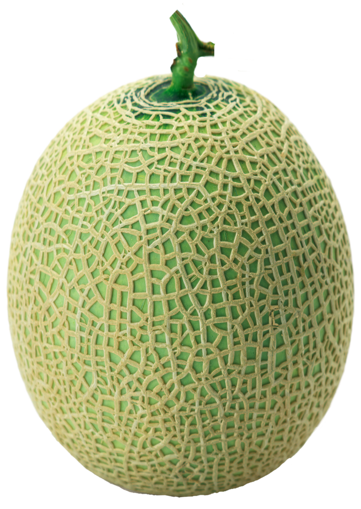 Cantaloupe Melon PNG Image HD