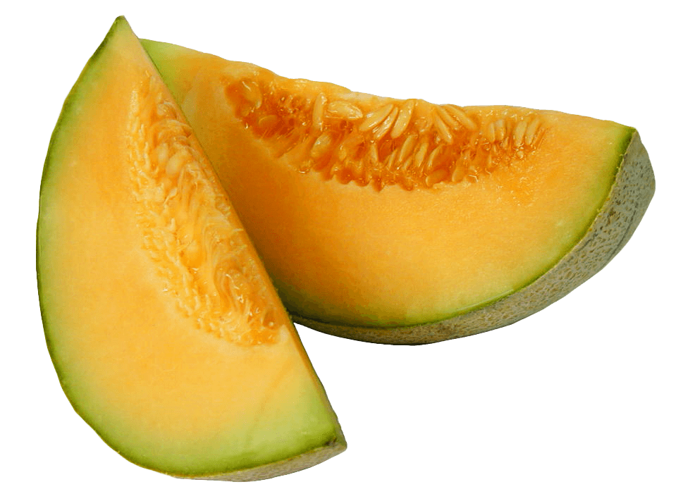 Cantaloupe Melon PNG Image