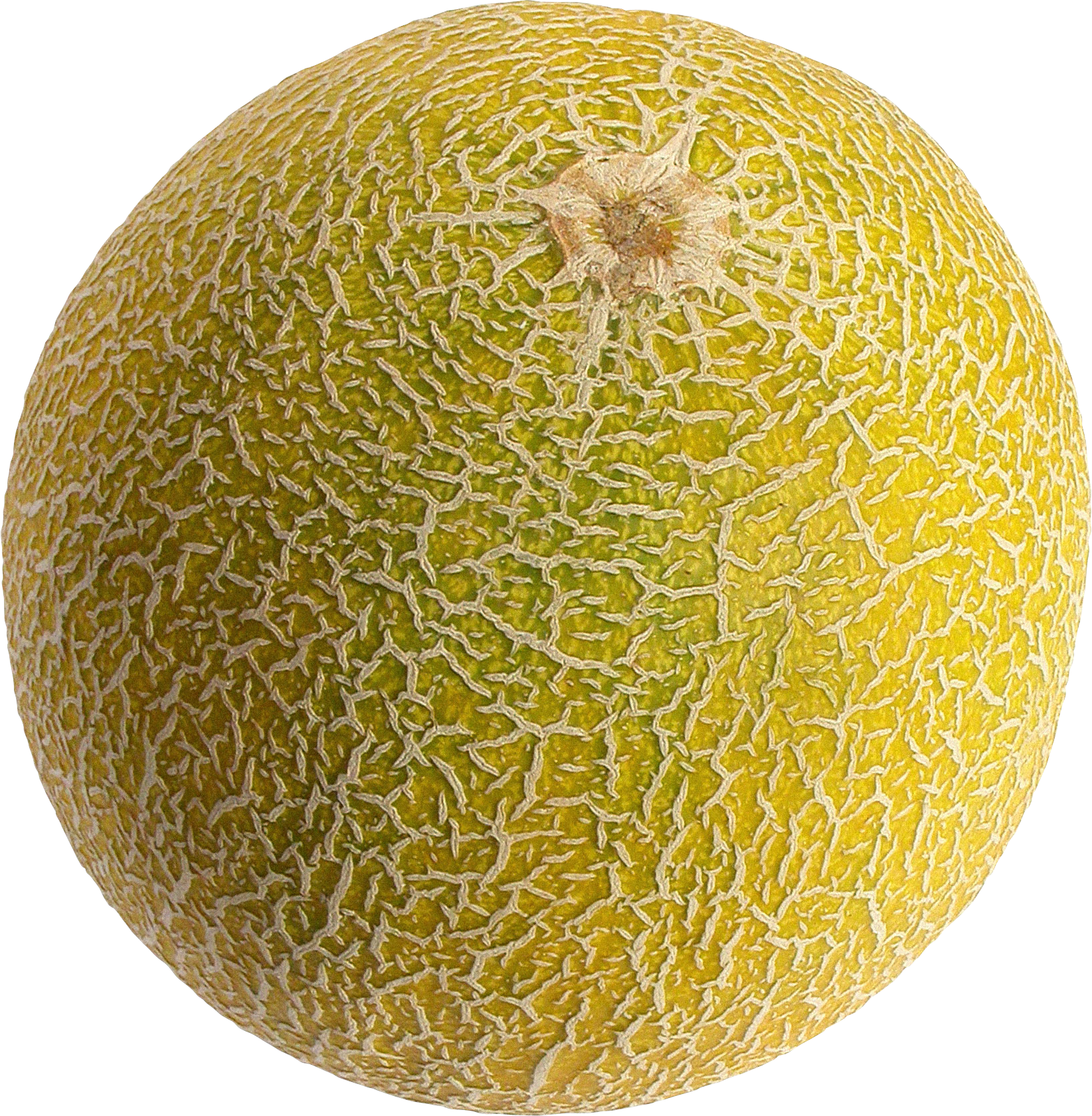 Cantaloupe Melon PNG Images HD