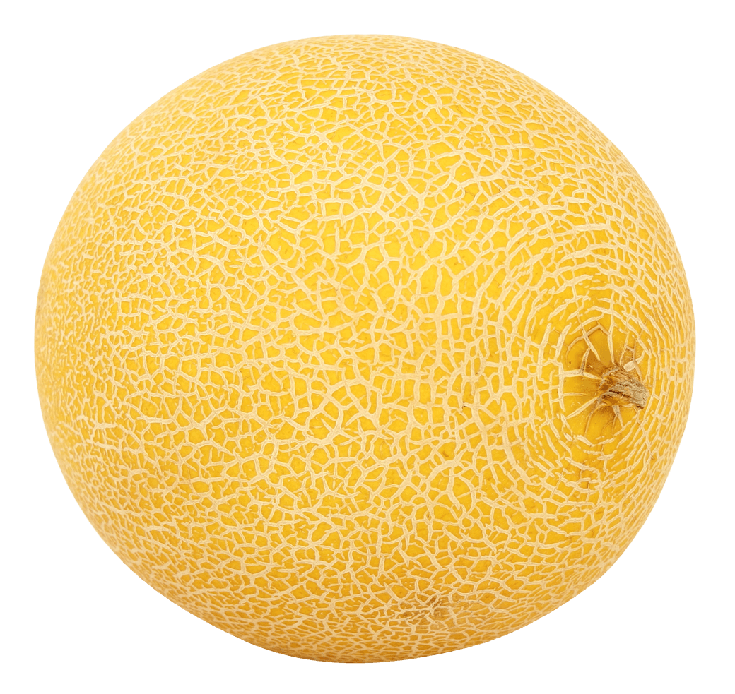 Cantaloupe Melon PNG Photo