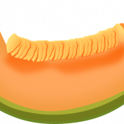 Cantaloupe Melon Png Foto