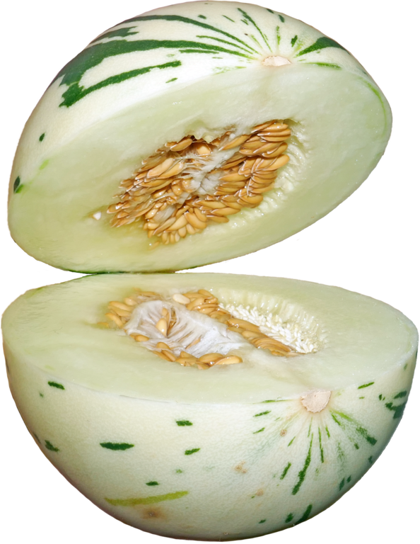 Cantaloupe Melon PNG Picture