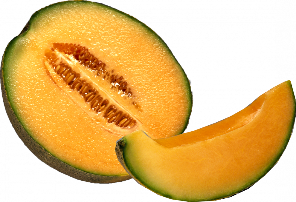 Cantaloupe Melon PNG