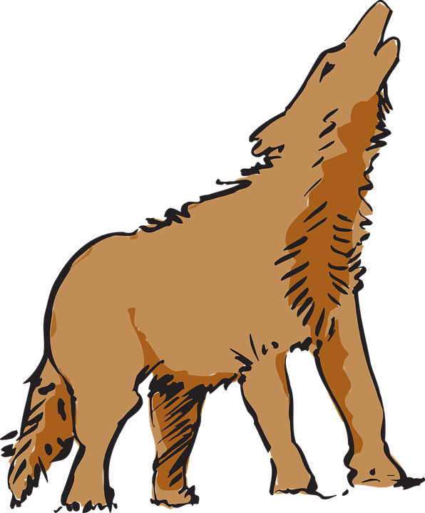 Coyote PNG Image File