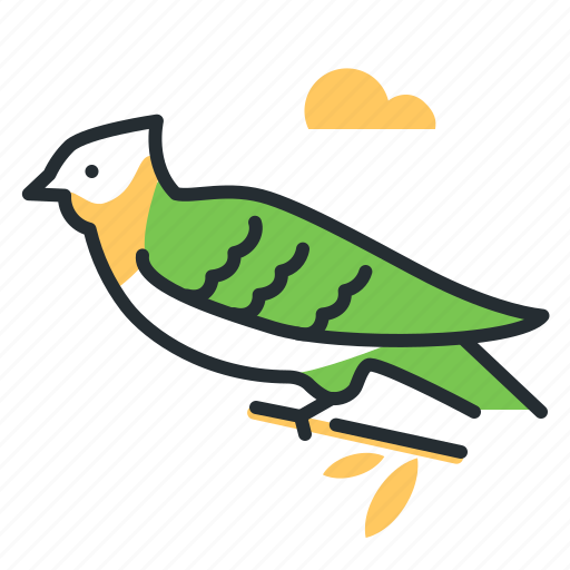 Cuckoo Bird Cuculus Canorus PNG File