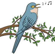 Cuckoo Bird Png Clipart
