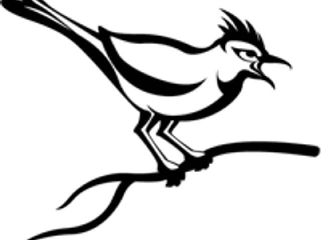 Cuckoo Bird Wildlife PNG File