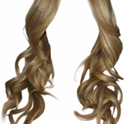 Вьющиеся волосы модель PNG -файл