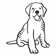Cute Puppy PNG Image File