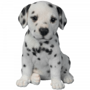 Cute Puppy PNG Picture