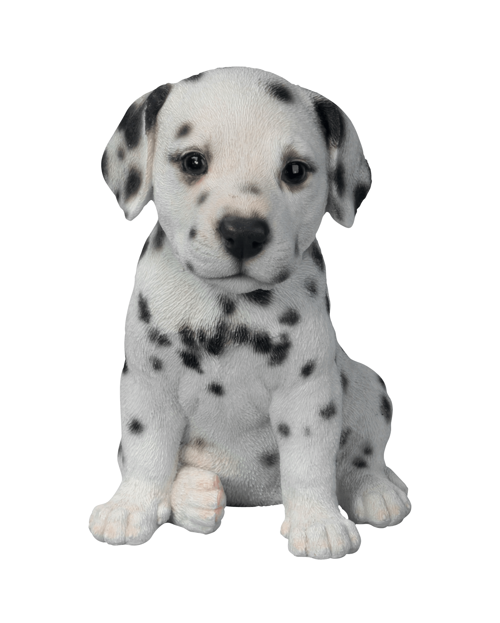 Cute Puppy PNG Picture