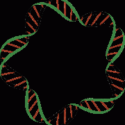 DNA -achtergrond PNG