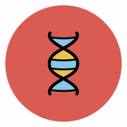 DNA -Genetik ohne Hintergrund