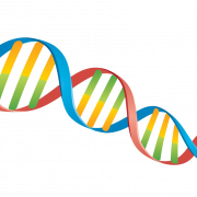 DNA -genetische PNG -uitsparing