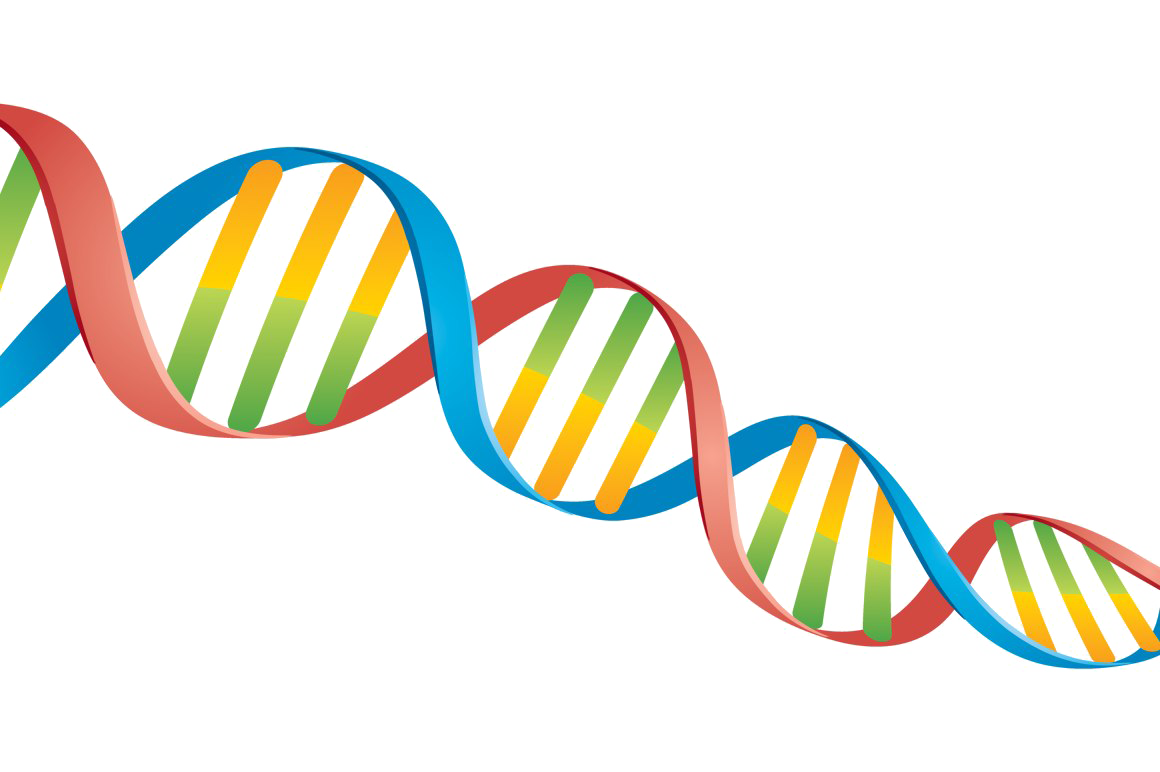 DNA Genetic PNG Cutout