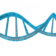 Imagen de PNG HD genética de ADN