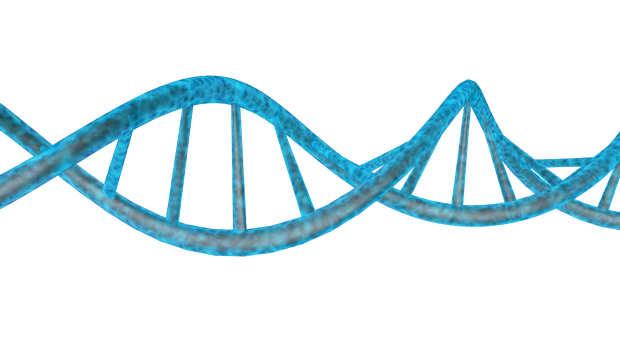 DNA Genetic PNG HD Image