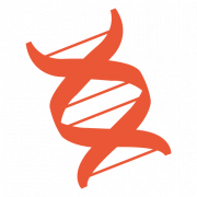 DNA Genetic PNG Image