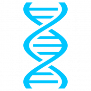 ADN genético transparente
