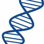 ADN sin antecedentes