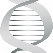 DNA PNG -Hintergrund