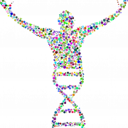 DNA PNG -Ausschnitt