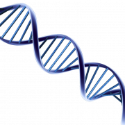 DNA PNG HD Image