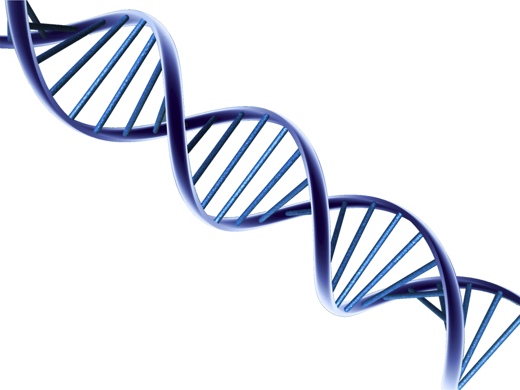 DNA PNG HD Image