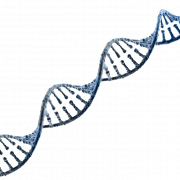 DNA PNG -afbeelding