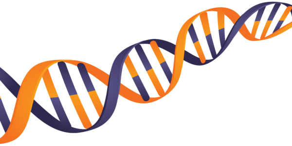 DNA PNG Image File
