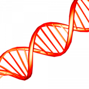 DNA PNG -afbeelding HD