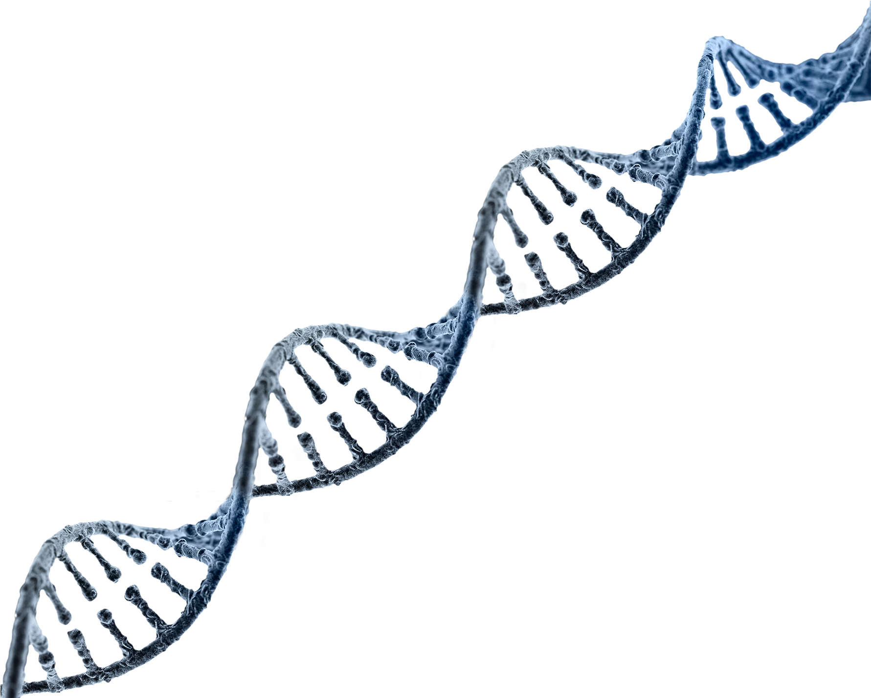 DNA PNG Image