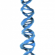 DNA PNG Images