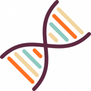 Mga larawan ng DNA PNG