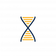 DNA PNG Picture