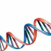 DNA -structuur PNG