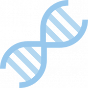 Fondo de PNG de estructura de ADN