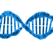DNA Structure PNG Cutout