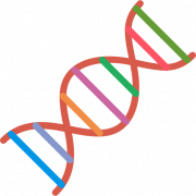 DNA Structure PNG Image
